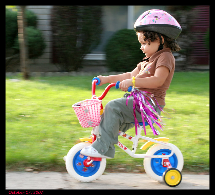 IMAGE: http://mlav.com/blogpic/8.jpg