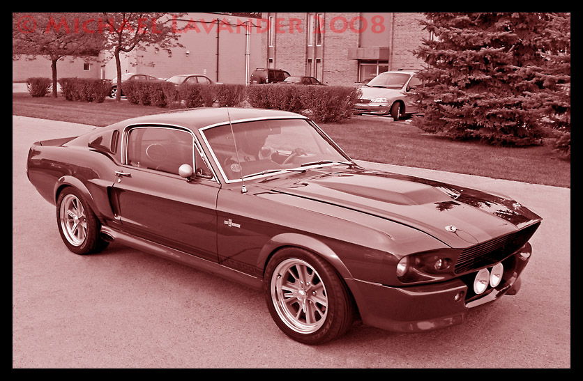 IMAGE: http://mlav.com/car/roush050808/15.jpg